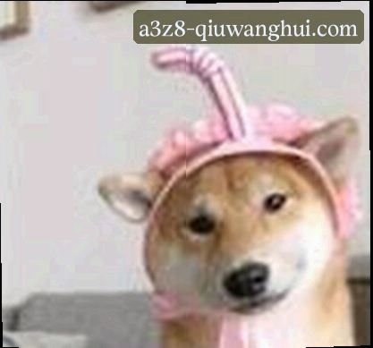 孙姐